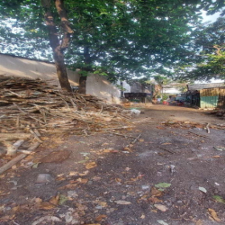 Đất thổ cư, từ Tân Kỳ Tân Quý vô 100m, hẻm 6m