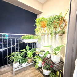 cho thuê 2PN full nội thất đẹp 9tr ở được liền, gần Aeon