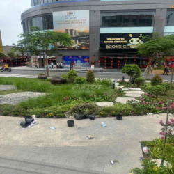 Cho thuê căn góc 2pn,2wc Bcons City full nội thất