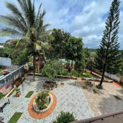 CHO THUÊ HOMESTAY VIEW HỒ  phong cách Đà Lạt giữa P Tân Hoà