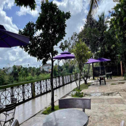 CHO THUÊ HOMESTAY VIEW HỒ  phong cách Đà Lạt giữa P Tân Hoà