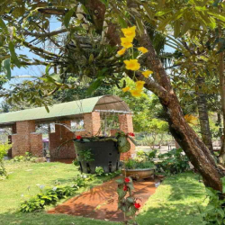 CHO THUÊ HOMESTAY VIEW HỒ  phong cách Đà Lạt giữa P Tân Hoà