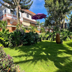 CHO THUÊ HOMESTAY VIEW HỒ  phong cách Đà Lạt giữa P Tân Hoà