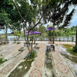 CHO THUÊ HOMESTAY VIEW HỒ  phong cách Đà Lạt giữa P Tân Hoà