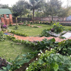 CHO THUÊ HOMESTAY VIEW HỒ  phong cách Đà Lạt giữa P Tân Hoà