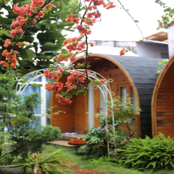 Homestay cho thuê tháng - KV trung tâm Cần Thơ