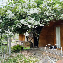 Homestay cho thuê tháng - KV trung tâm Cần Thơ