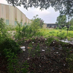 Cho thuê bãi đất trống quận 12