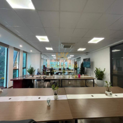 Toà Nhà VP Tân Bình - 8.5x30 - Hầm - 4 Lầu - Thang Máy