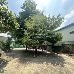 CHO THUÊ ĐẤT 1100M2 RỘNG RÃI Ở NGUYỄN HỮU TIẾN, TÂY THẠNH, TÂN PHÚ