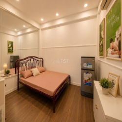 NHÀ QUẬN 1 HẺM XE TẢI FULL NỘI THẤT