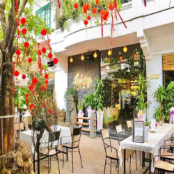 MẶT BẰNG SÂN VƯỜN ĐƯỜNG XUÂN THỦY , THẢO ĐIỀN NGANG 20M