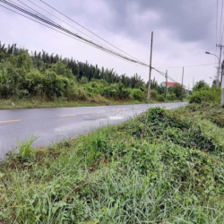 Cho thuê nhà mặt tiền đường Lý nhơn, xã An thới đông Cần giờ