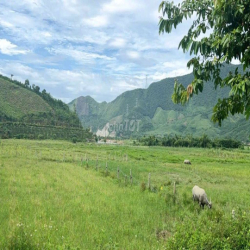 Bán hoặc Cho thuê đất du lịch dài hạn.