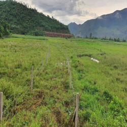 Bán hoặc Cho thuê đất du lịch dài hạn.