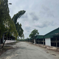 cho thuê kho đường Đào Trí 48.000m2