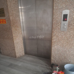 Nhà Mp Trần Quốc Hoàn, diện tích 50M x 6 tầng thông + 1 hầm, Thang Máy