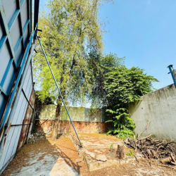 Cho thuê đất full thổ 368m² Thủ Đức – kinh doanh/kho – trục đường lớn