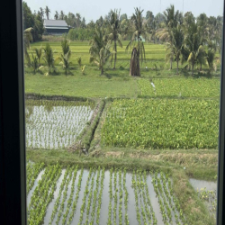 nhà cho thuê ngắn hạn dài hạn