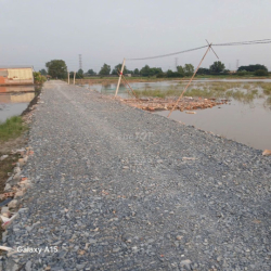 CHO THUÊ ĐẤT TCLN HẺM 5M(XT) NGUYỄN THỊ LẮNG, P.TP TRUNG, H.CC 30TR