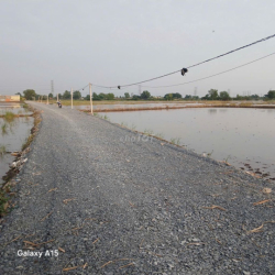 CHO THUÊ ĐẤT TCLN HẺM 5M(XT) NGUYỄN THỊ LẮNG, P.TP TRUNG, H.CC 30TR