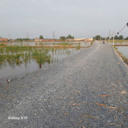 CHO THUÊ ĐẤT TCLN HẺM 5M(XT) NGUYỄN THỊ LẮNG, P.TP TRUNG, H.CC 30TR