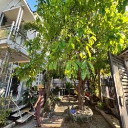 Nhà Vườn 10x25m 3pn 2vs Cách Biển 500m- Gần chợ Long Hải