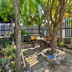 Nhà Vườn 10x25m 3pn 2vs Cách Biển 500m- Gần chợ Long Hải