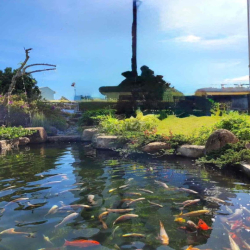 CHỦ NGỘP bán căn nhà nhỏ xinh 45,5m2 giá sang tên 617trieu có hồ cá ko