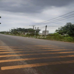 Cho thuê đất rẫy mặt tiền đường 80m