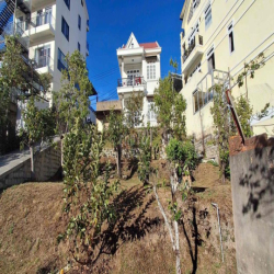 Đất trung tâm Đà Lạt thổ cư - chính chủ- view thành phố Đà Lạt