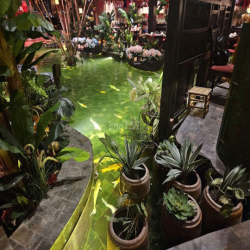 Nhà mặt tiền cho thuê 309Bis Huỳnh Văn Bánh