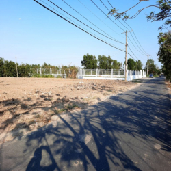 Cho thuê đất mặt tiền nhựa Xã Tân Nhựt, Huyện Bình Chánh