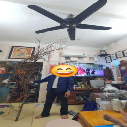 Chợ Mậu lương cho thuê nhà viên chức
