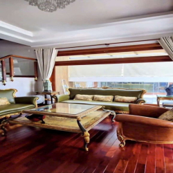 Cho thuê Biệt Thự KDC SADECO Ven Sông Tân Phong Q.7