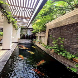 Cho thuê Biệt Thự KDC SADECO Ven Sông Tân Phong Q.7