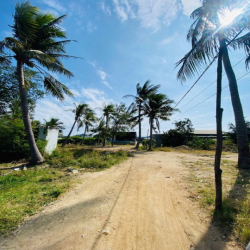 ĐẤT NÔNG NGHIỆP 300m2 MIỄN PHÍ THUÊ 6 THÁNG THÀNH HẢI, TP. PHAN RANG