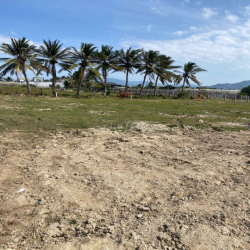 ĐẤT NÔNG NGHIỆP 300m2 MIỄN PHÍ THUÊ 6 THÁNG THÀNH HẢI, TP. PHAN RANG