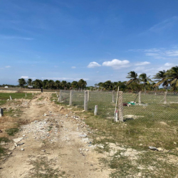 ĐẤT NÔNG NGHIỆP 300m2 MIỄN PHÍ THUÊ 6 THÁNG THÀNH HẢI, TP. PHAN RANG