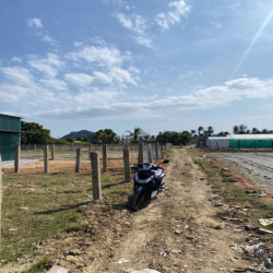 ĐẤT NÔNG NGHIỆP 300m2 MIỄN PHÍ THUÊ 6 THÁNG THÀNH HẢI, TP. PHAN RANG