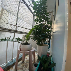 [Chính chủ] Phòng cho thuê - 4.5tr, có toilet, ban công, sân thượng...