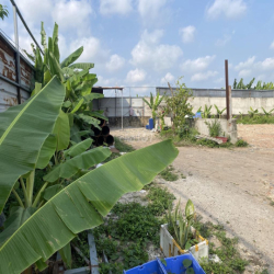 cho thuê bãi đậu xe, hoặc là kho chứa hàng ngoài trời