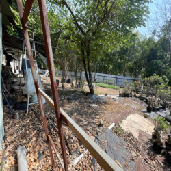 Đất trống hẻm xe tải vào được