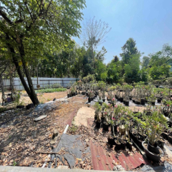 Đất trống hẻm xe tải vào được