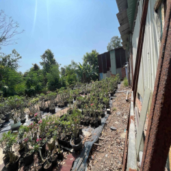 Đất trống hẻm xe tải vào được