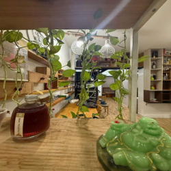 Nhà đẹp. Siêu Rẻ. HXH Đường Số 9. Long Bình. Quận 9.