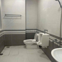 Cho thuê nhà 1 hầm, 1 trệt, 4 lầu, thang máy ở Vạn Phúc
