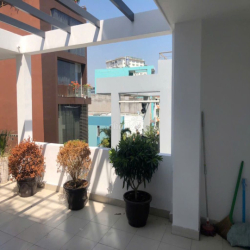 Nhà đẹp đường Hoa Đào - Phú Nhuận - 4.5x15m- 3 Lầu