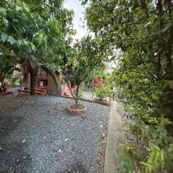 cần cho thuê sân vườn