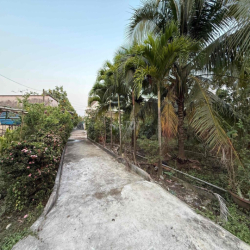 cần cho thuê sân vườn